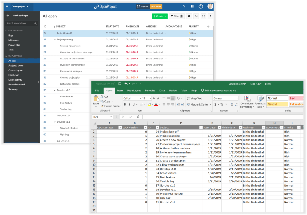 Excel-OpenProject-synch