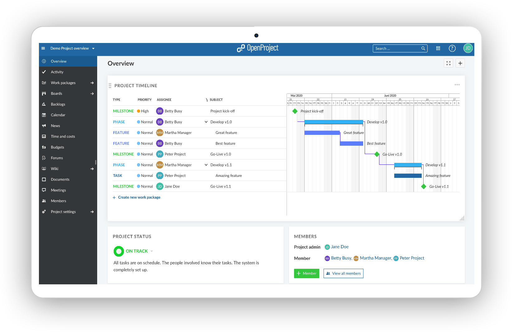 project-overview-timeline