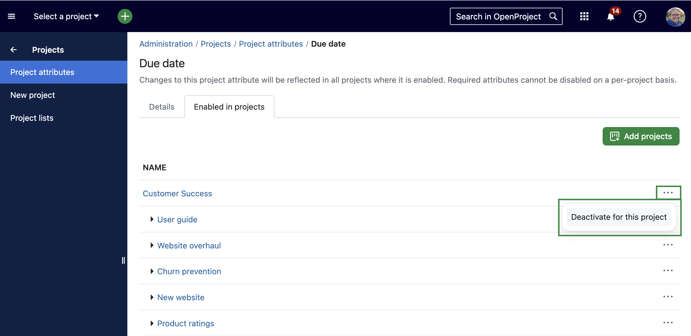 Settings to configure project attributes for all projects