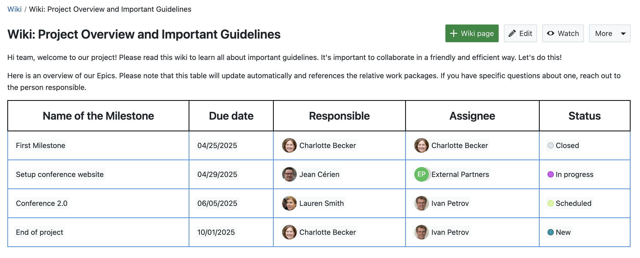 Screenshot of a wiki page in OpenProject with a table that is nicely styled and shows attributes in each cell